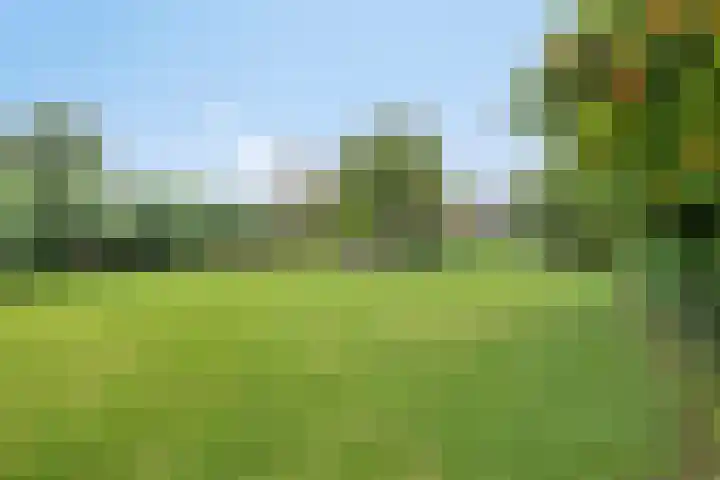 Ganker 104 a Nibbixwoud thumbnail 69