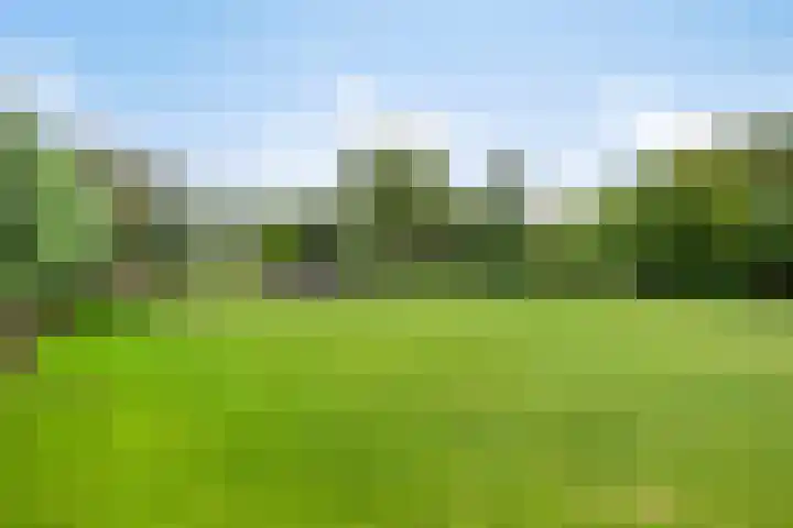 Ganker 104 a Nibbixwoud thumbnail 70