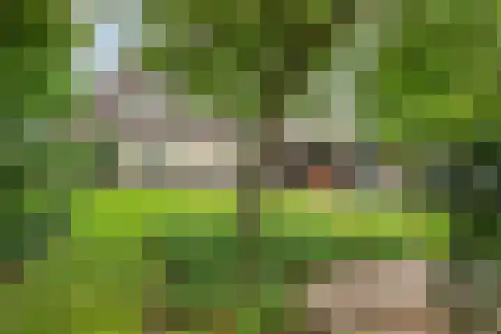 Ganker 104 a Nibbixwoud thumbnail 72