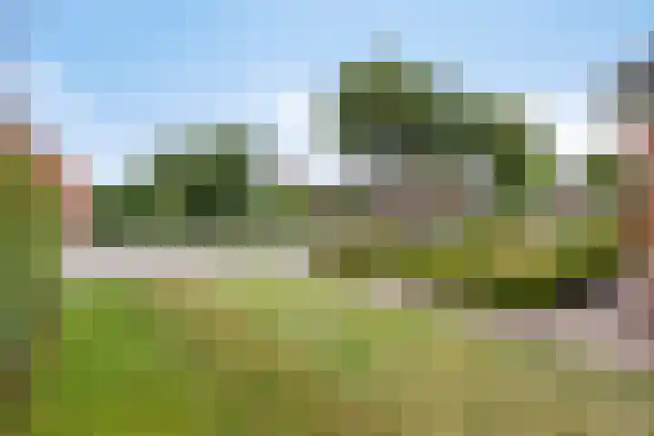 Ganker 104 a Nibbixwoud thumbnail 74