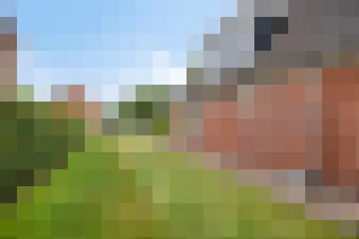 Ganker 104 a Nibbixwoud thumbnail 75