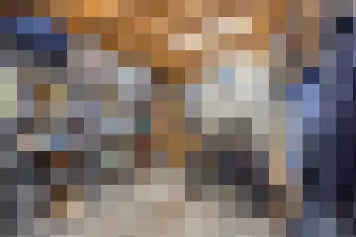 Ganker 104 a Nibbixwoud thumbnail 79