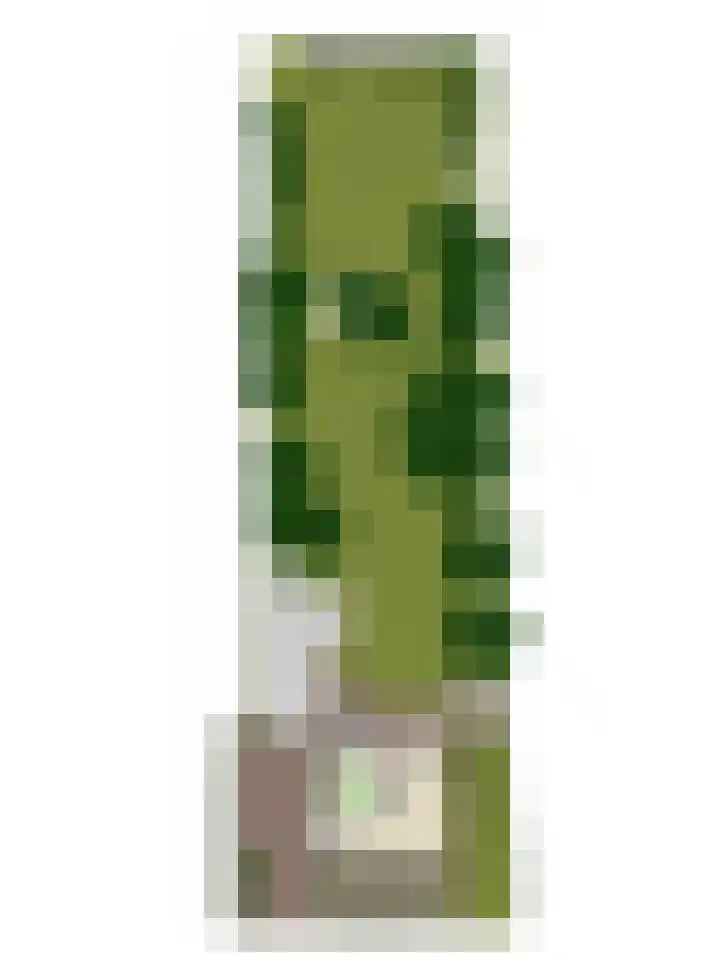 Ganker 104 a Nibbixwoud thumbnail 80