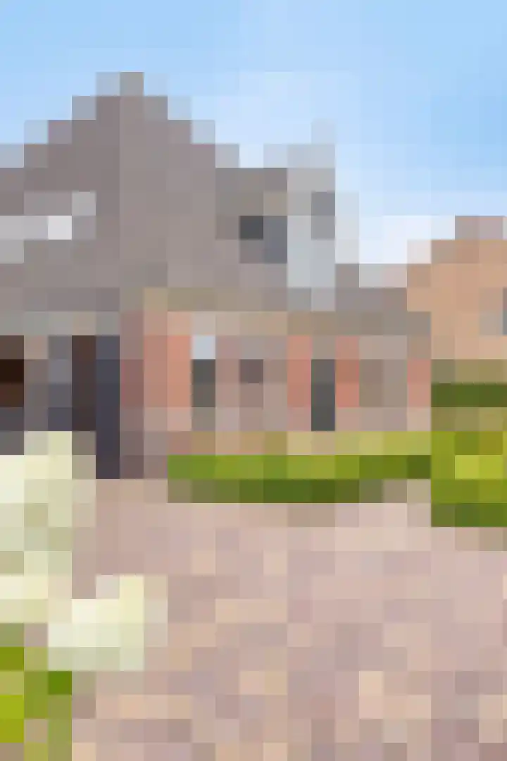 Ganker 104 a Nibbixwoud thumbnail 9