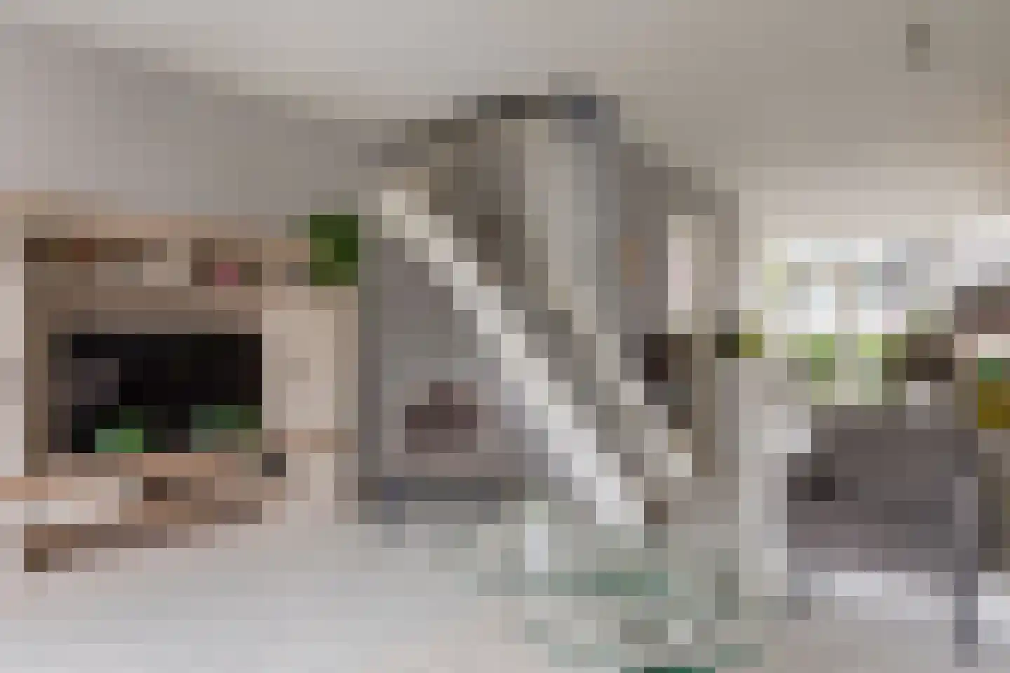 Ganker 96 A Nibbixwoud thumbnail 10