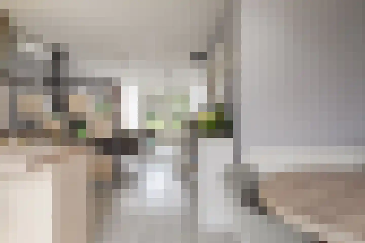 Ganker 96 A Nibbixwoud thumbnail 11