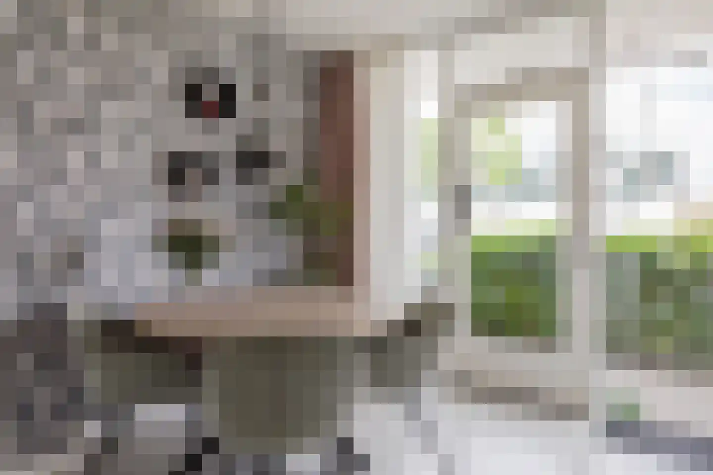 Ganker 96 A Nibbixwoud thumbnail 16
