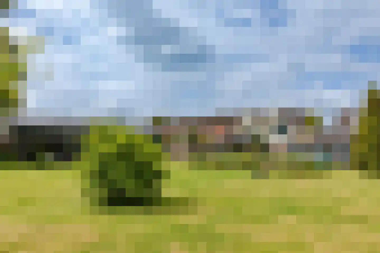 Ganker 96 A Nibbixwoud foto 2