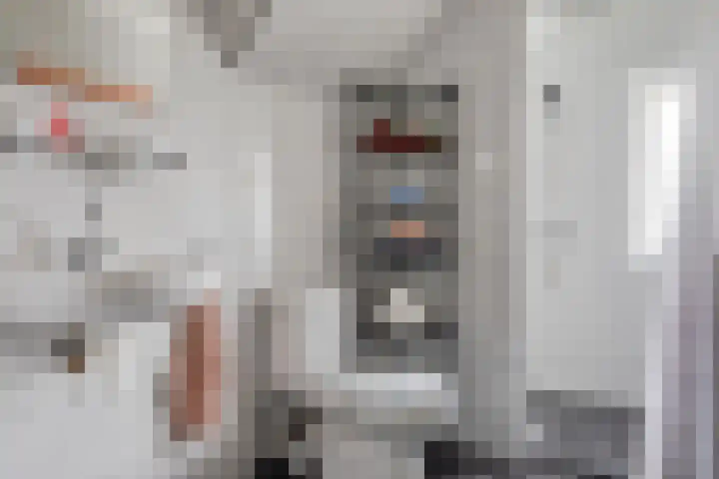 Ganker 96 A Nibbixwoud thumbnail 25