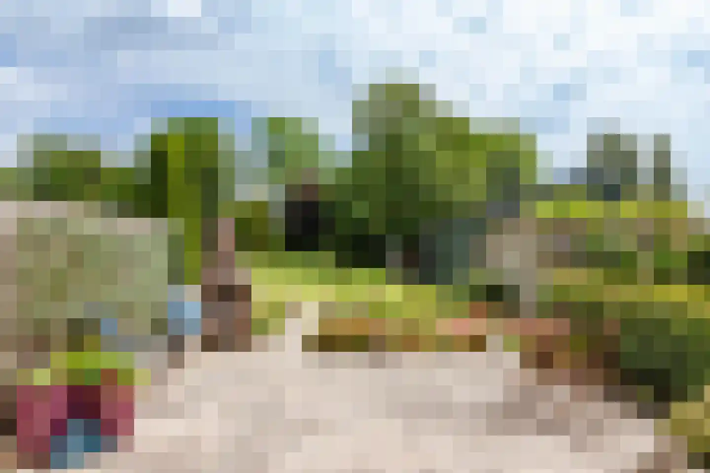 Ganker 96 A Nibbixwoud thumbnail 28