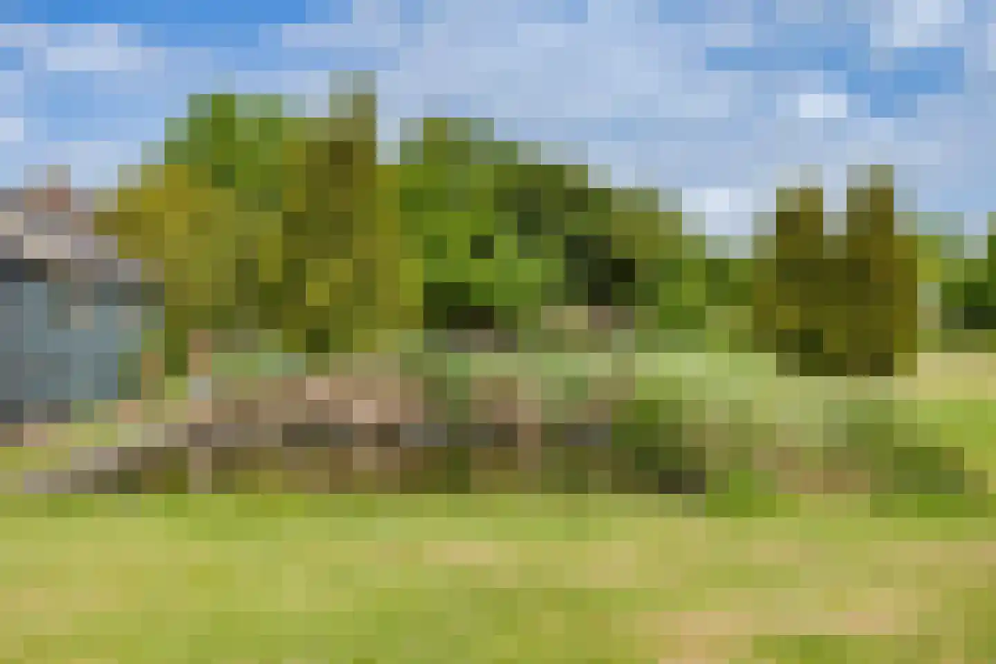 Ganker 96 A Nibbixwoud thumbnail 32