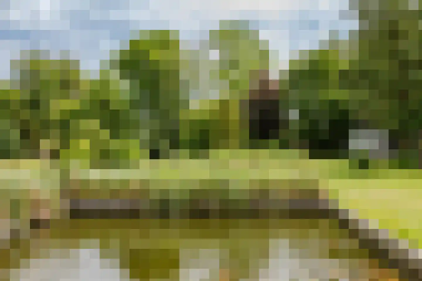 Ganker 96 A Nibbixwoud thumbnail 33