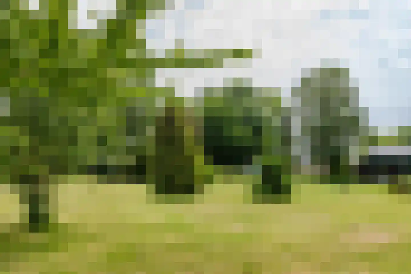 Ganker 96 A Nibbixwoud thumbnail 34