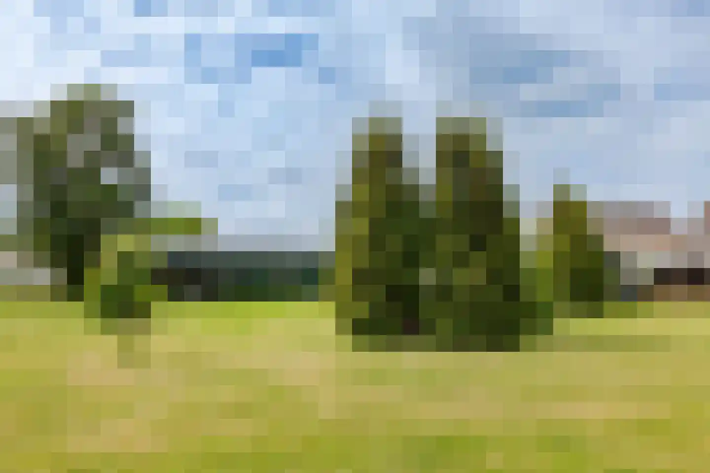 Ganker 96 A Nibbixwoud thumbnail 35