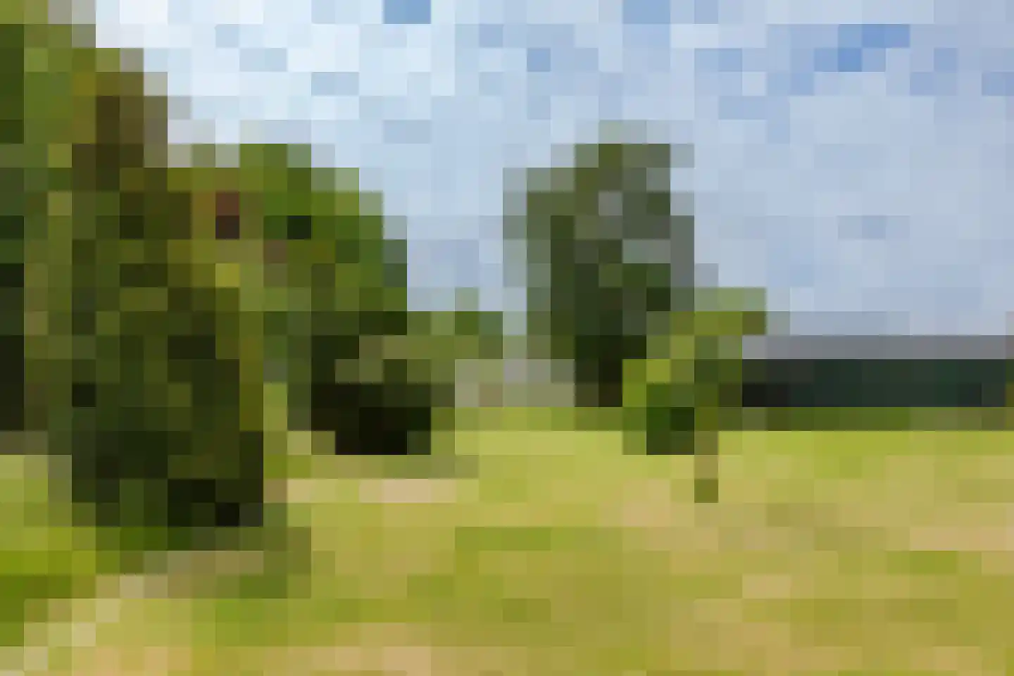 Ganker 96 A Nibbixwoud thumbnail 36
