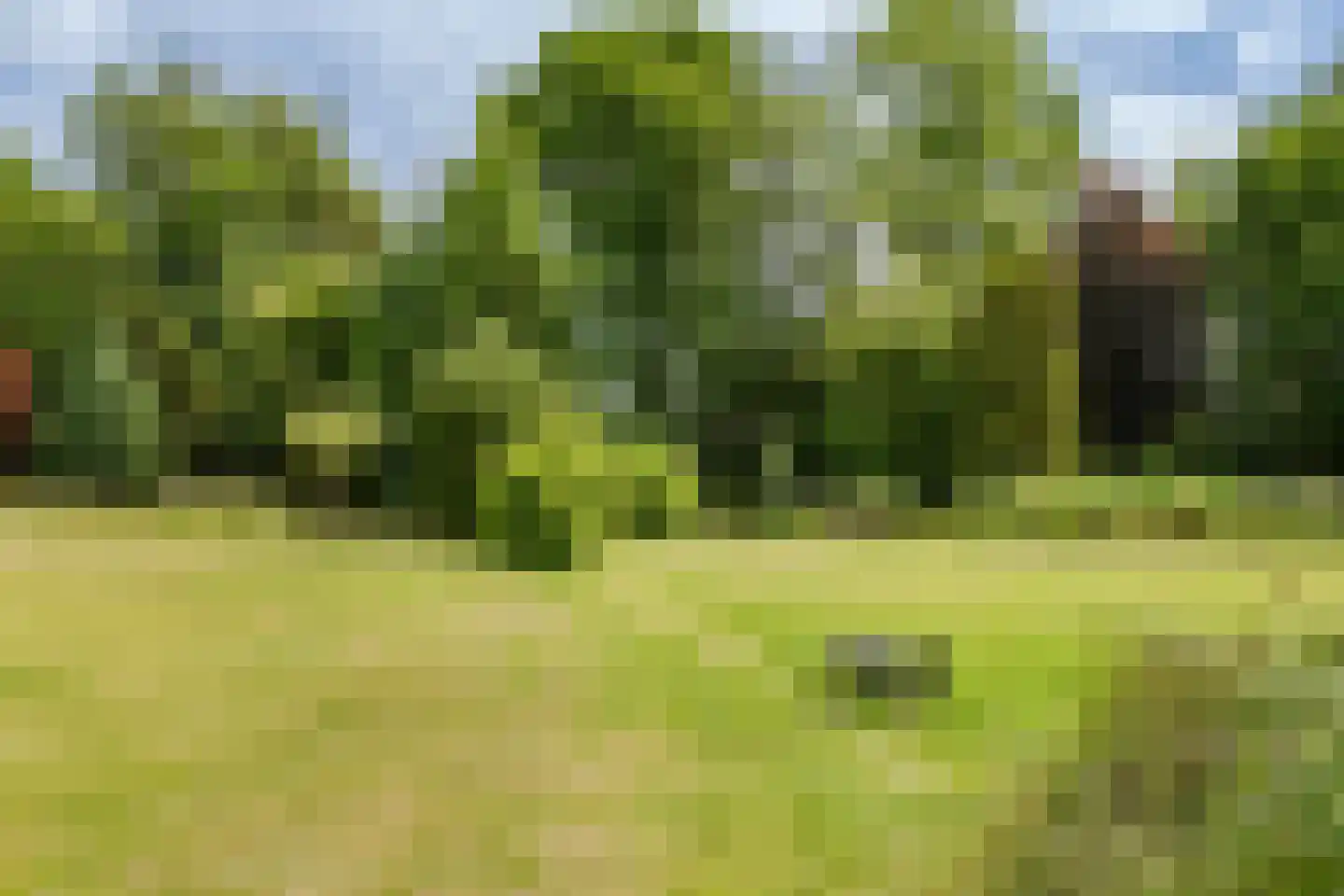 Ganker 96 A Nibbixwoud thumbnail 37