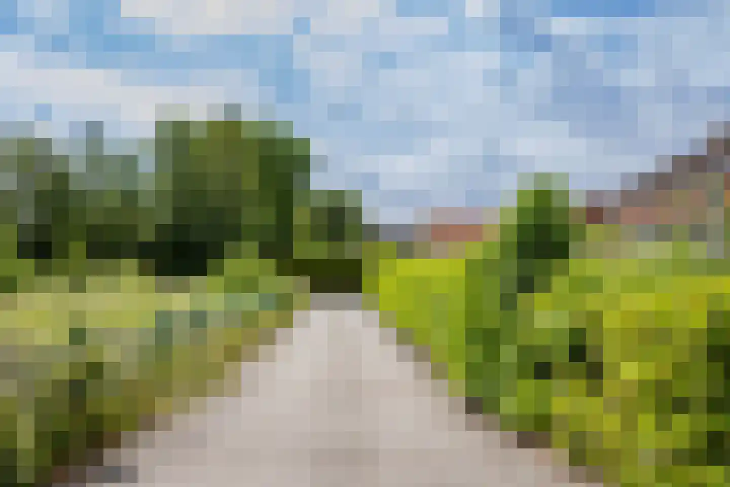 Ganker 96 A Nibbixwoud thumbnail 39