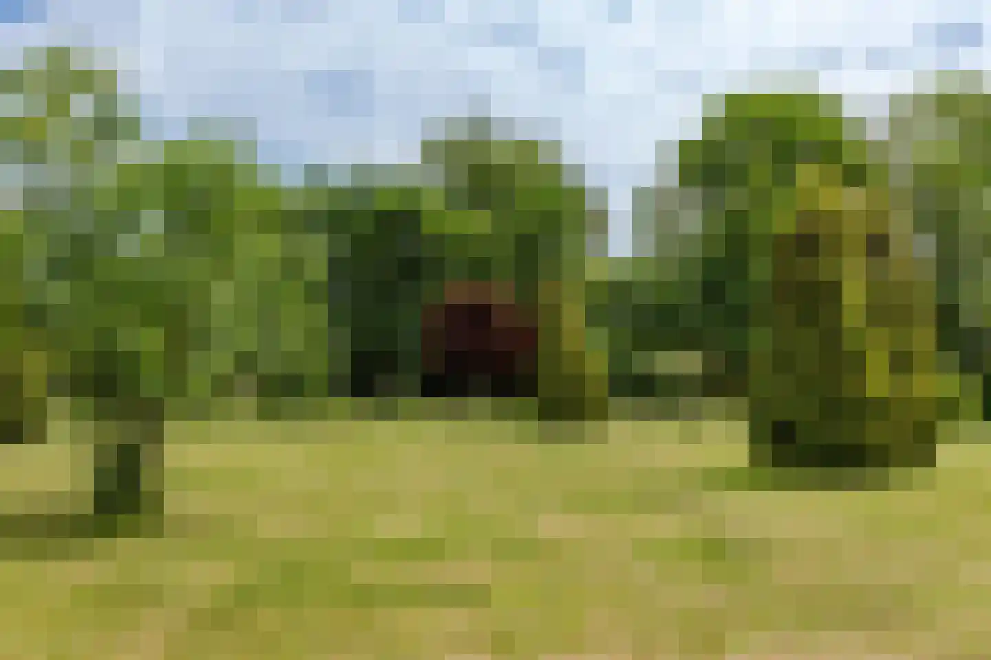 Ganker 96 A Nibbixwoud thumbnail 40