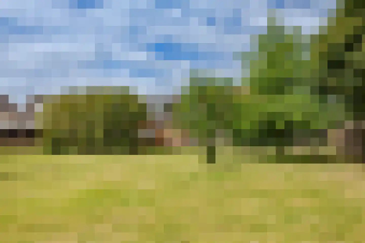Ganker 96 A Nibbixwoud thumbnail 41
