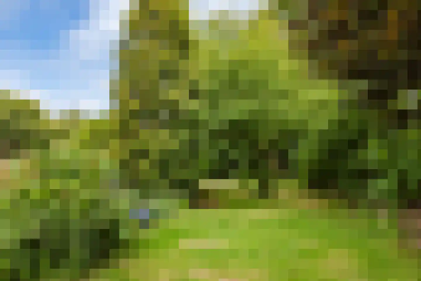Ganker 96 A Nibbixwoud thumbnail 42