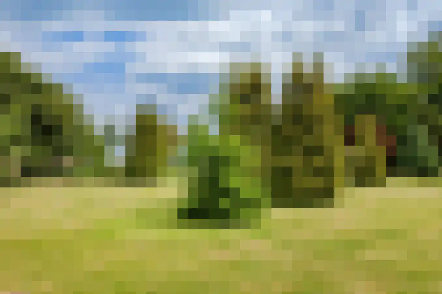 Ganker 96 A Nibbixwoud thumbnail 43