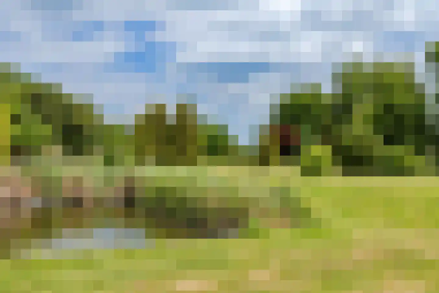 Ganker 96 A Nibbixwoud thumbnail 44