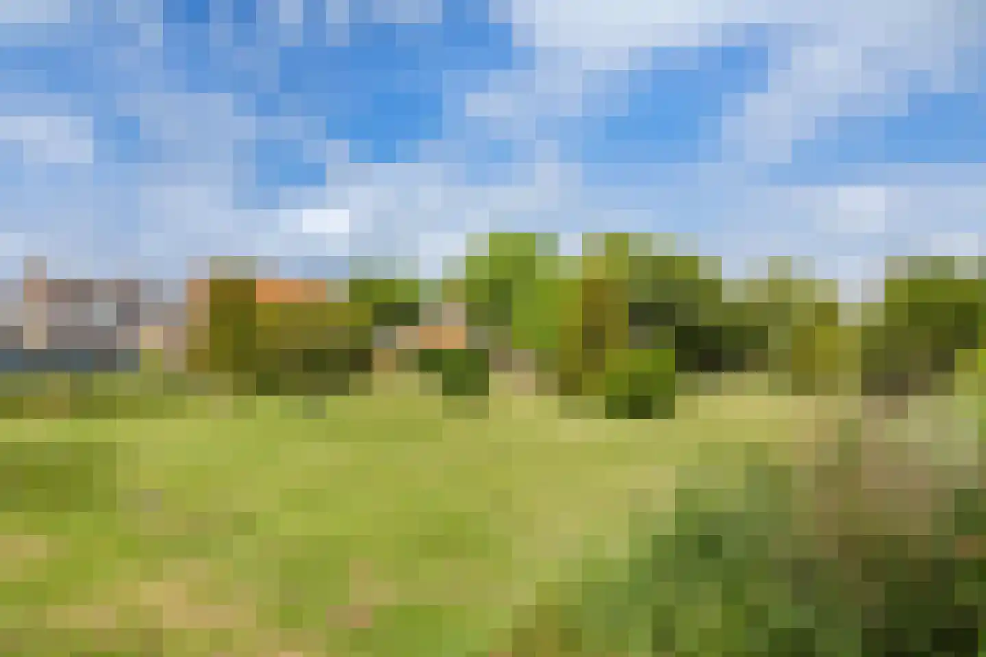 Ganker 96 A Nibbixwoud thumbnail 45
