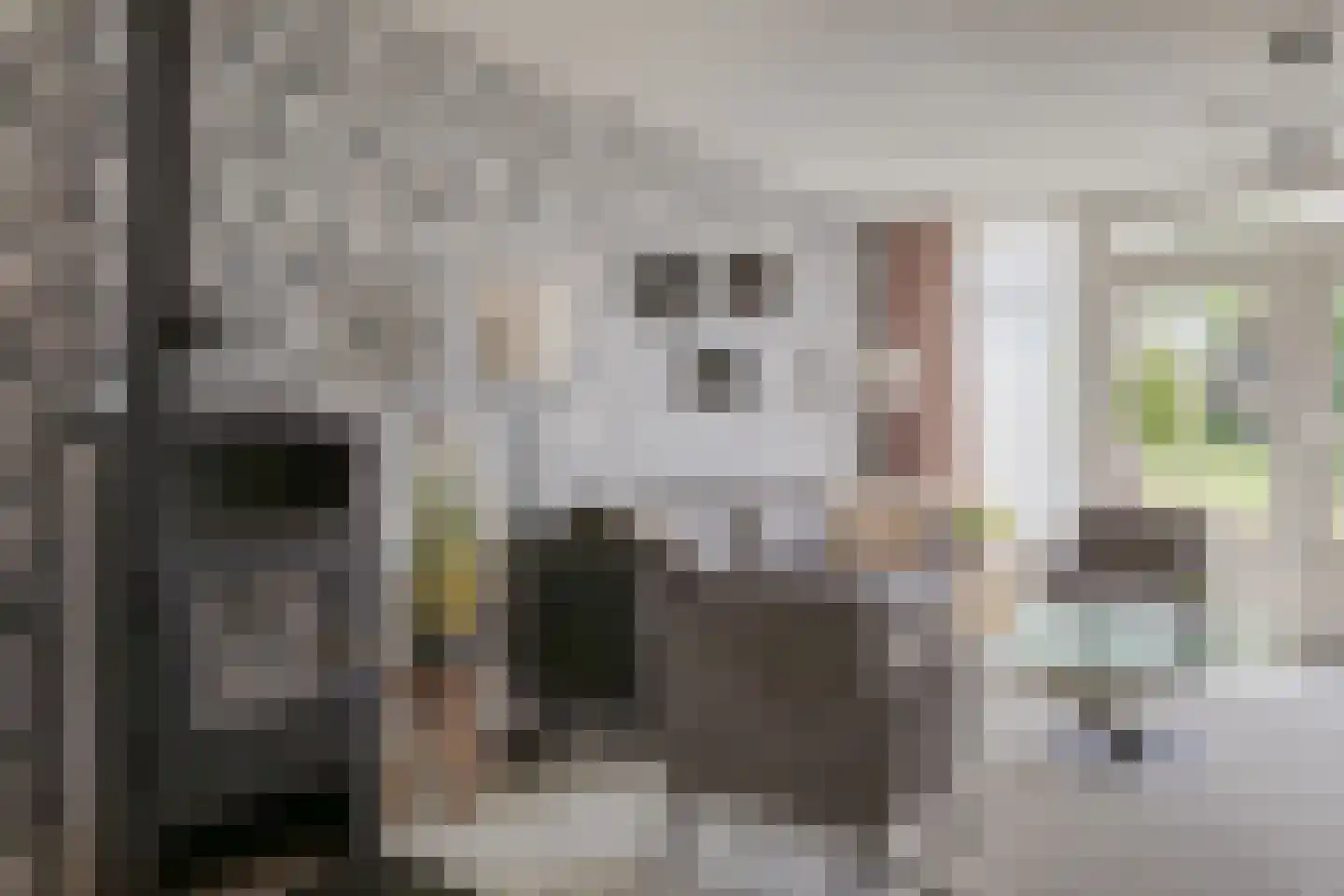 Ganker 96 A Nibbixwoud thumbnail 5