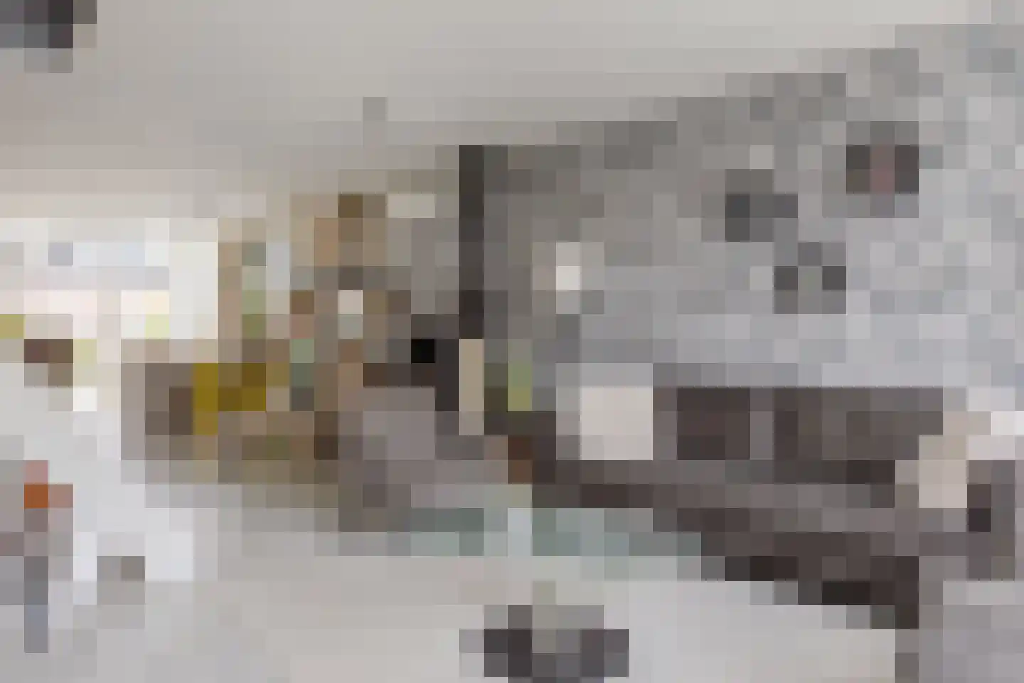 Ganker 96 A Nibbixwoud thumbnail 7