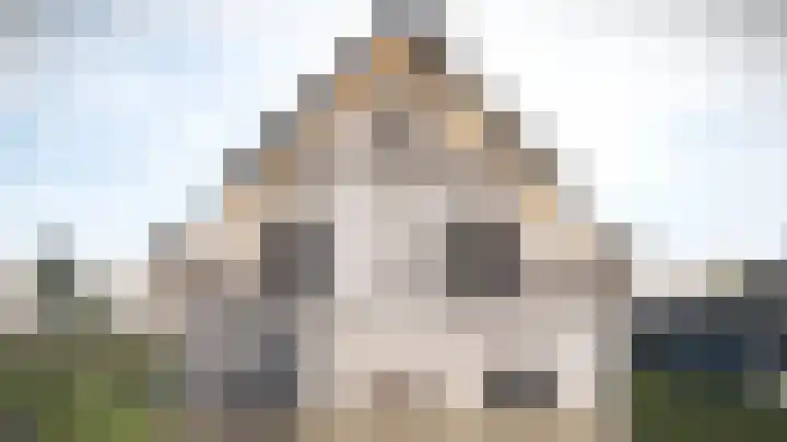 Gans 10 Wijk en Aalburg thumbnail 6
