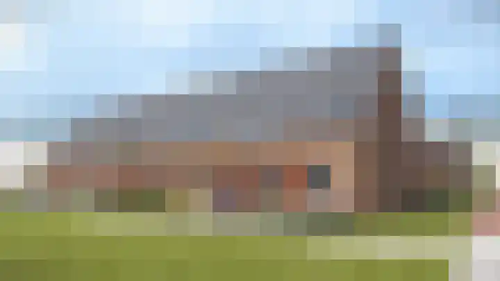 Gans 12 Wijk en Aalburg thumbnail 4