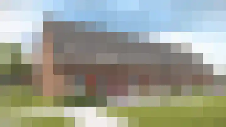 Gans 16 Wijk en Aalburg thumbnail 8