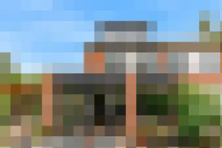 Gans 2 Zoeterwoude