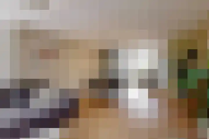 Gans 2 Zoeterwoude thumbnail 10