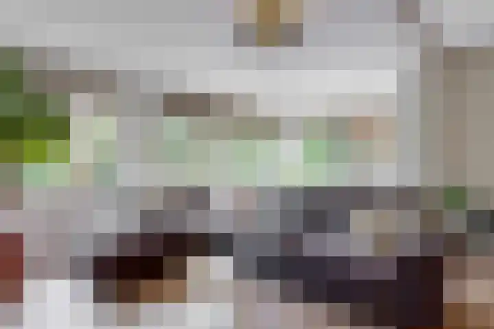 Gans 2 Zoeterwoude thumbnail 11