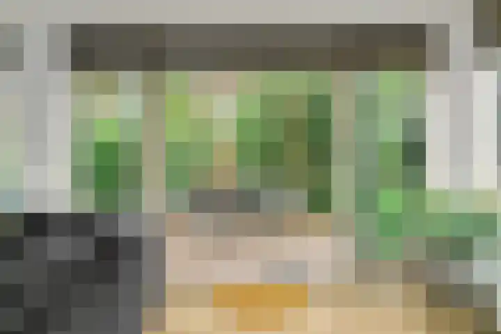 Gans 2 Zoeterwoude thumbnail 12