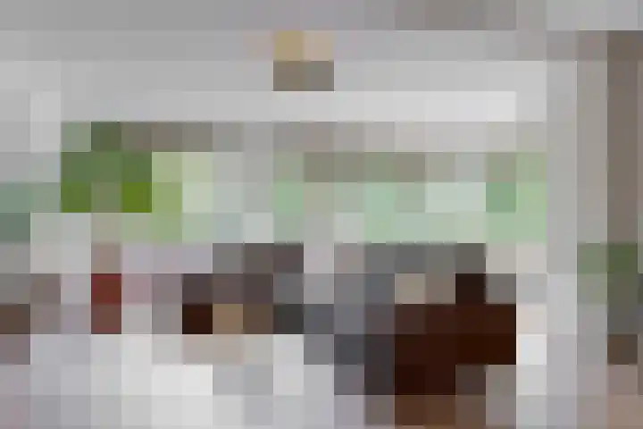 Gans 2 Zoeterwoude thumbnail 13