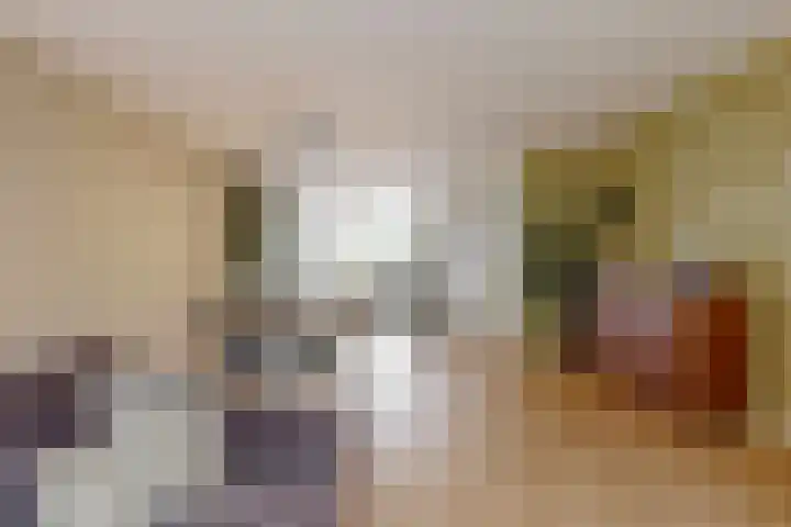Gans 2 Zoeterwoude thumbnail 14