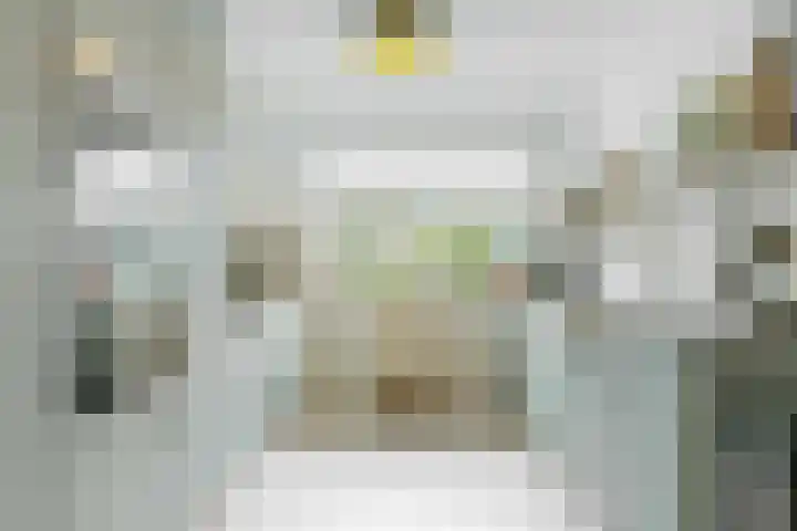Gans 2 Zoeterwoude thumbnail 15