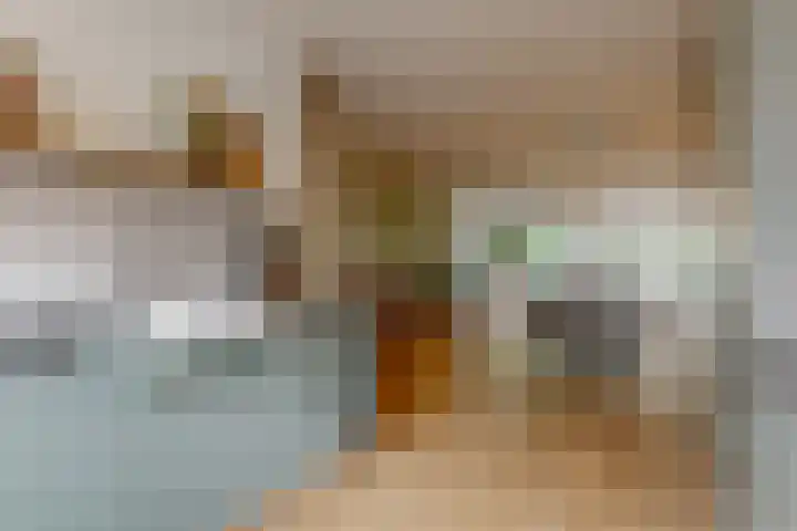 Gans 2 Zoeterwoude thumbnail 18
