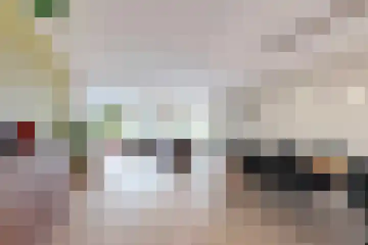 Gans 2 Zoeterwoude foto 2