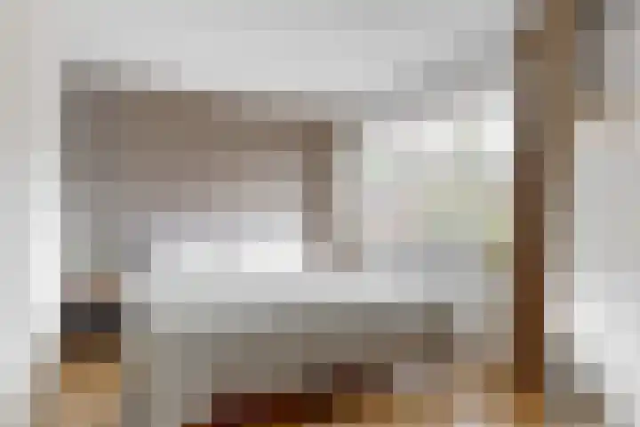 Gans 2 Zoeterwoude thumbnail 20