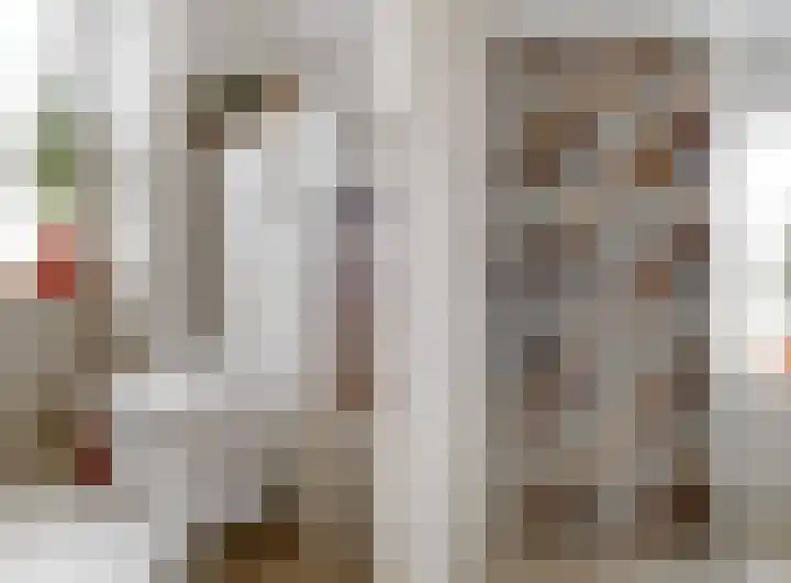 Gans 2 Zoeterwoude thumbnail 23