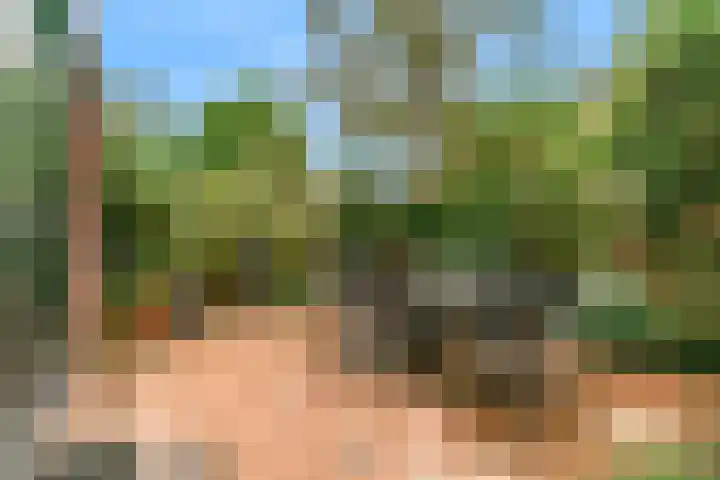 Gans 2 Zoeterwoude thumbnail 32