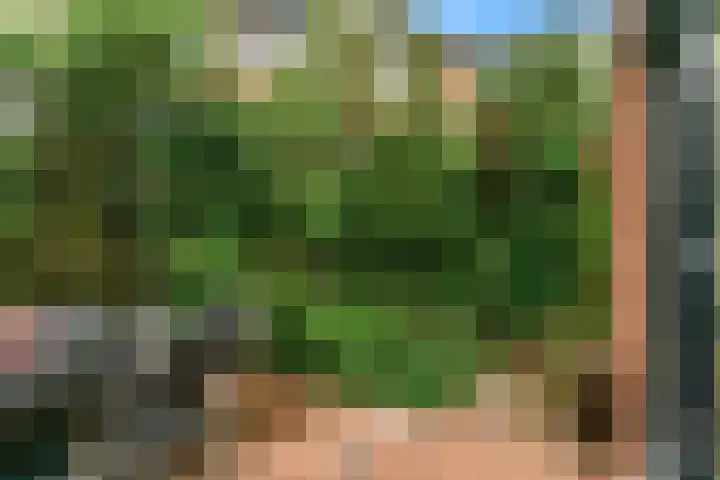 Gans 2 Zoeterwoude thumbnail 33