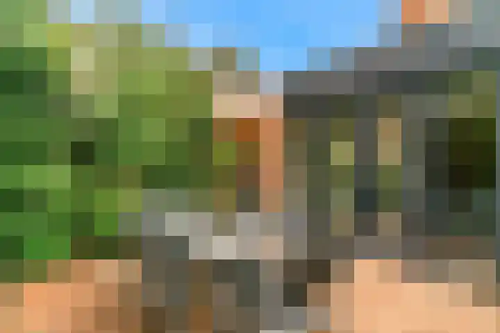 Gans 2 Zoeterwoude thumbnail 34