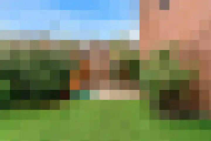 Gans 2 Zoeterwoude thumbnail 35