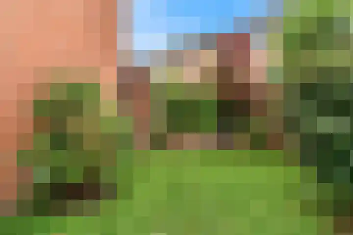 Gans 2 Zoeterwoude thumbnail 36