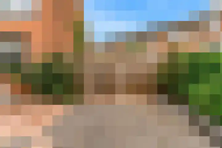 Gans 2 Zoeterwoude thumbnail 38