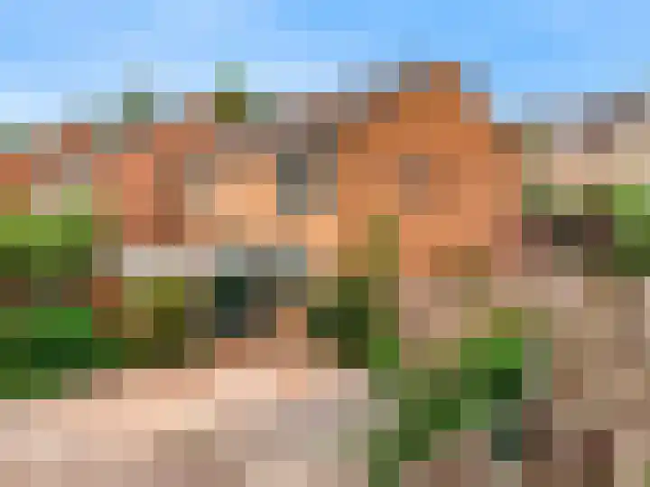 Gans 2 Zoeterwoude thumbnail 39
